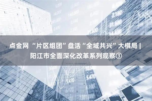 点金网 “片区组团”盘活“全域共兴”大棋局 | 阳江市全面深化改革系列观察③